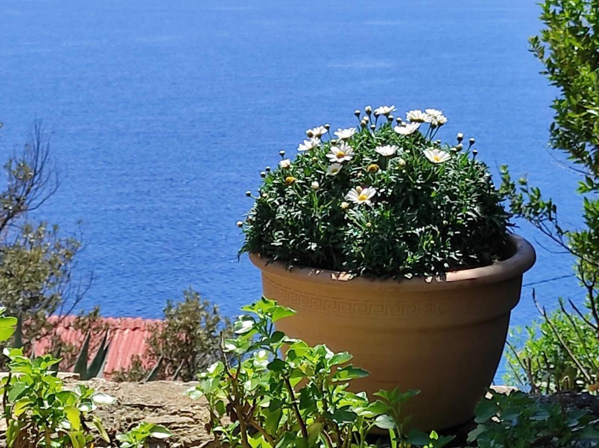 Вилла Getaway House Gundula Podstrazje Экстерьер фото